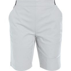 Spodenki sportowe męskie: Vaude CYCLIST SHORTS II Krótkie spodenki sportowe pigeon grey