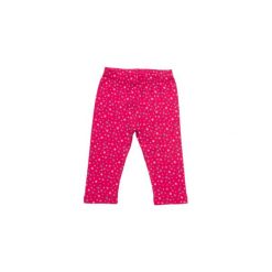 Spodnie niemowlęce: SALT AND PEPPER Baby Glück Girls Leginsy Bunny allover magenta