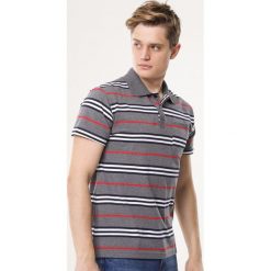 Szara Koszulka Limitable. Szare koszulki męskie Born2be, xl, bez wzorów, z dzianiny, polo, bez rękawów. Za 49,99 zł.