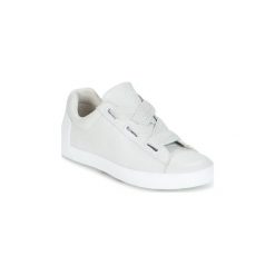Buty Ash NINA. Szare trampki i tenisówki damskie Ash, bez wzorów, bez zapięcia. Za 374,50 zł.