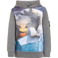 Claesen‘s BOYS HOODED Bluza z kapturem multicolor. Szare bluzy dziewczęce Claesen‘s, z elastanu, z kapturem. W wyprzedaży za 126,75 zł.
