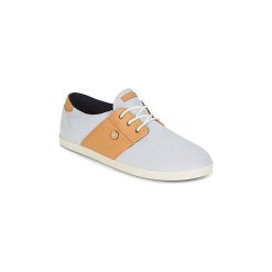 Trampki męskie: Buty Faguo CYPRESS COTTON/LEATHER