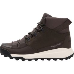 Buty trekkingowe męskie: adidas Performance TERREX WINTERPITCH CW CP Buty trekkingowe black