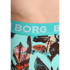 Björn Borg VIBRANT LEAVES SAMMY 2 PACK Panty biscay green - 2