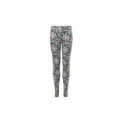 Legginsy i Rajstopy Dziecko adidas Legginsy Zoo. Szare rajstopy dziewczęce Adidas. Za 119,00 zł.