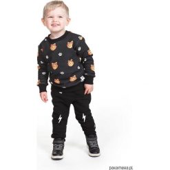 Bluza Tygrysy. Szare bluzy chłopięce rozpinane marki Pakamera, z bawełny. Za 79,00 zł.