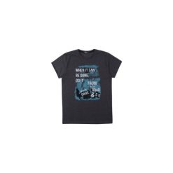 T-shirt męski. Szare t-shirty męskie marki TXM, m, bez wzorów, bez kołnierzyka. Za 19,99 zł.