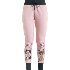 Grumpy Cat No Miau Spodnie dresowe damskie ciemnoróżowy. Różowe spodnie dresowe damskie marki Grumpy Cat, xl, z nadrukiem, z dresówki. Za 79,90 zł.