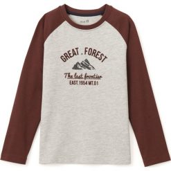 T-shirty chłopięce: T-shirt 3-12 lat
