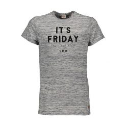 T-shirty chłopięce z nadrukiem: Koszulka w kolorze szarym