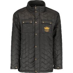Kurtki męskie: Santa Monica HASKELL Kurtka przejściowa dark olive