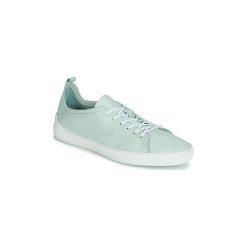 Buty PLDM by Palladium NEWTON. Niebieskie trampki i tenisówki damskie PLDM by Palladium, bez wzorów, bez zapięcia. Za 199,50 zł.