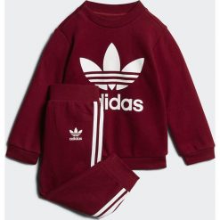 Adidas Originals CREW SET Bluza burgundy/white. Czerwone bluzy chłopięce marki adidas Originals, z bawełny. Za 199,00 zł.