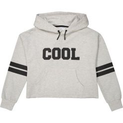 Krótka bluza z kapturem 10-16 lat. Szare bluzy dziewczęce marki La Redoute Collections, z bawełny, z długim rękawem, długie, z kapturem. Za 88,16 zł.