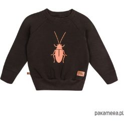Bluzy chłopięce: bluza – karaluszek