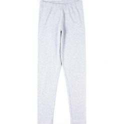 Legginsy dziewczęce: Coccodrillo – Legginsy dziecięce 104-158 cm
