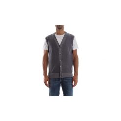 Swetry rozpinane / Kardigany Wool co WO 0004. Szare swetry męskie Wool co, s, bez wzorów. Za 198,74 zł.