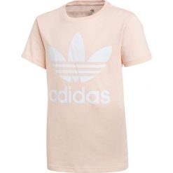 MŁODZIEŻOWA KOSZULKA ADIDAS TREFOIL TEE (140). Żółta koszulki męskie Adidas, m, bez wzorów, z bawełny, młodzieżowe, bez kołnierzyka, bez rękawów. Za 79,99 zł.
