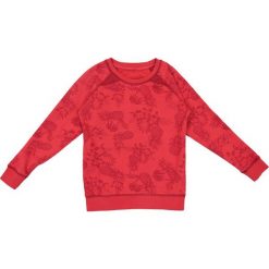 Bluzy męskie: Nativo – Bluza dziecięca 104-152 cm