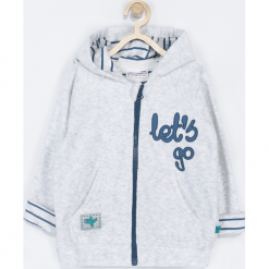 Bluza. Szare bluzy chłopięce z kapturem marki LET'S GO TRAVEL, z aplikacjami, z długim rękawem, długie. Za 85,90 zł.