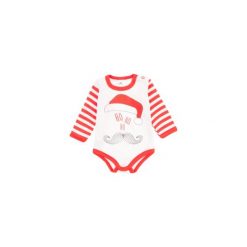 BODY NIEMOWLĘCE DŁUGI RĘKAW. Szare body niemowlęce TXM, bez wzorów, z długim rękawem. Za 15,99 zł.