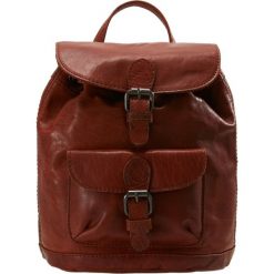 Plecaki damskie: Spikes & Sparrow BACKPACK Plecak cognac