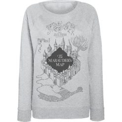 Bluzy damskie: Harry Potter Marauder's Map Bluza damska odcienie jasnoszarego