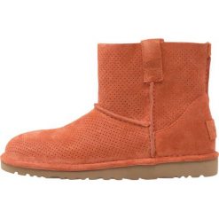 Botki damskie: UGG CLASSIC UNLINED MINI PERF Botki fire/opal