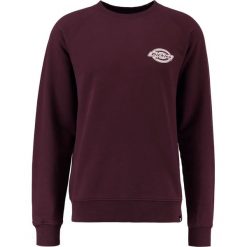 Bejsbolówki męskie: Dickies BRIGGSVILLE Bluza maroon