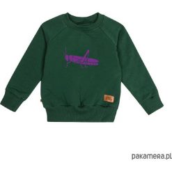 Bluzy chłopięce: bluza – konik polny