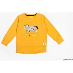 Bluzy chłopięce: Bluza Musztardowa Konik