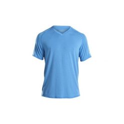 Koszulka do biegania męska SAUCONY FREEDOM V-NECK BLUE ASTER / SA81191-BA. Niebieskie koszulki męskie Saucony, m, bez wzorów, bez kołnierzyka, bez rękawów, do biegania. Za 109,99 zł.