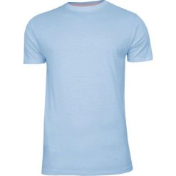 Błękitny Bawełniany T-Shirt Męski Bez Nadruku -Brave Soul- Koszulka, Krótki Rękaw, Basic TSBRSSS20GRAILpaleblue. Niebieskie koszulki męskie Brave Soul, na lato, m, z nadrukiem, z bawełny, casualowe, bez kołnierzyka, z krótkim rękawem, krótkie. Za 29,00 zł.