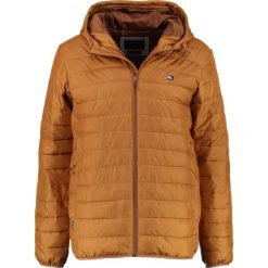 Kurtki męskie bomber: Quiksilver EVERYDAYSCALY Kurtka przejściowa rubber