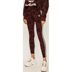 Adidas Originals - Legginsy. Fioletowe spodnie damskie adidas Originals, bez wzorów, z elastanu. Za 139,90 zł.