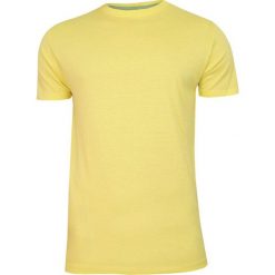Żółty Bawełniany T-Shirt Męski Bez Nadruku -Brave Soul- Koszulka, Krótki Rękaw, Basic TSBRSSS20GRAILcitrus. Żółte koszulki męskie Brave Soul, na lato, m, z nadrukiem, z bawełny, casualowe, bez kołnierzyka, krótkie. Za 29,00 zł.