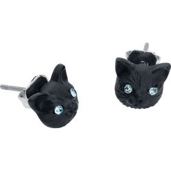 Kolczyki damskie: Wildcat Behind Blue Eyes Kolczyki – Earpin czarny