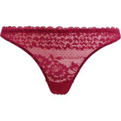 Stringi: Heidi Klum Intimates DELILAH DANCES Stringi bosa nova/cafe creme