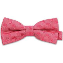 Różowa Mucha w Paisley, Męska MUVRN0043. Różowe muszki męskie Vernon, na imprezę, w paski, eleganckie. Za 29,00 zł.