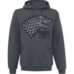 Bluzy męskie: Gra o Tron House Stark – Winter Is Coming Bluza z kapturem szary