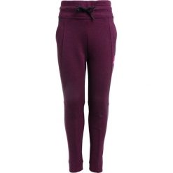 Spodnie dresowe dziewczęce: Nike Performance Spodnie treningowe bordeaux/heather/lethal pink