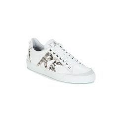 Trampki męskie: Buty Roberto Cavalli 4266