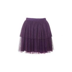 Spódnica ze śliwkowego tiulu w groszki. Fioletowe minispódniczki damskie JO-LI, w grochy, z tiulu, eleganckie, sportowe. Za 220,00 zł.