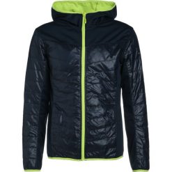 Kurtki sportowe męskie: Icepeak VANTTE Kurtka Outdoor navy blue