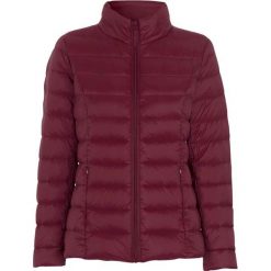 Freequent Puchowa kurtka Tops burgundowy female czerwony S (38). Czerwone kurtki damskie Freequent, na jesień, s, bez wzorów, z puchu, eleganckie, bez kaptura. Za 329,00 zł.