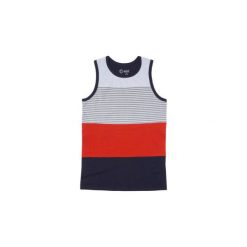 T-shirt męski bez rękawów. Szare t-shirty męskie TXM, m, bez wzorów, bez kołnierzyka. Za 19,99 zł.