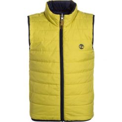 Kamizelki dziewczęce: Timberland Kamizelka anis