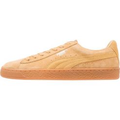 Trampki męskie: Puma BASKET CLASSIC WEATHERPROOF Tenisówki i Trampki taffy