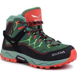 Trekkingi SALEWA - Jr Alp Trainer Mid Gtx GORE-TEX 64006-5960 Myrtle/Tender Shot. Zielone trapery damskie Salewa, z zamszu, bez obcasa, bez zapięcia. W wyprzedaży za 449,00 zł.