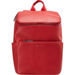Plecaki damskie: Matt & Nat BRAVE DWELL Plecak ruby